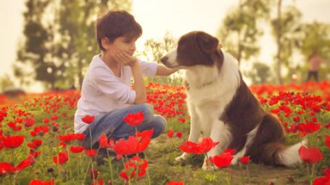 המלצות - טיולים ובילויים לכל המשפחה בשוהם
