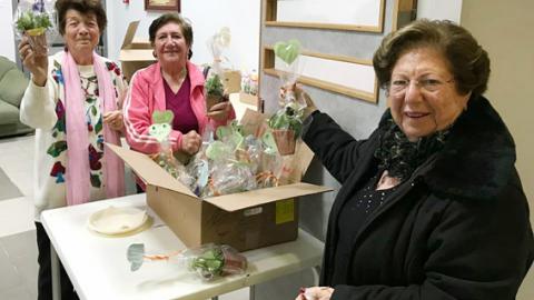 עציץ אהבה לכל גימלאי - חינוך  בשוהם