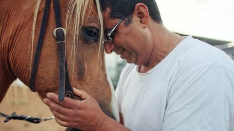 סוס מנצח - כתבות מגזין  בשוהם