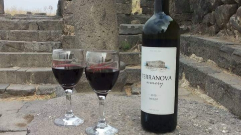 לראשונה בשוהם פסטיבל יין ומוסיקה - טיולים ובילויים לכל המשפחה בשוהם