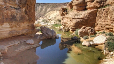 מסלול טיול - טיולים ובילויים לכל המשפחה בשוהם