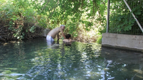 עין תאו, בריכות לרחצה ולנוי - טיולים ובילויים לכל המשפחה בשוהם