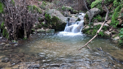בריכות בנחל עמוד עליון באדיבות “מסלולים> להתאהב בארץ מחדש” - טיולים ובילויים לכל המשפחה בשוהם