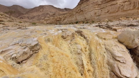 החיים חוזרים אט אט למסלולם - כתבות מגזין  בשוהם