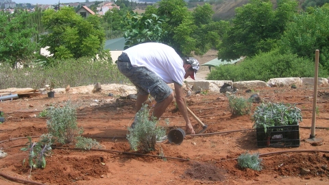 הגינה הקהילתית ברחוב קדם מחדשת את פניה - טיולים ובילויים לכל המשפחה בשוהם