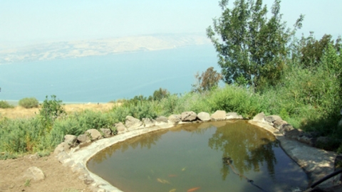 עין שוקו - מסלול טיול - טיולים ובילויים לכל המשפחה בשוהם