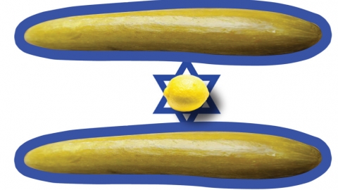 טרנספר לאומי - מוקי הדר - טורים אישיים בשוהם