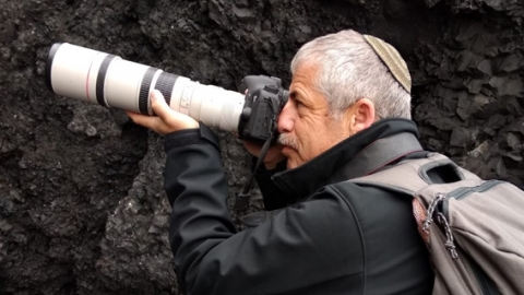 ינשופים בשוהם ובסביבה - טיולים ובילויים לכל המשפחה בשוהם