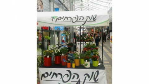 שוק הפרחים לכבוד ראש השנה - טיולים ובילויים לכל המשפחה בשוהם