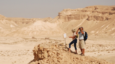 חגי תשרי בערבה התיכונה - טיולים ובילויים לכל המשפחה בשוהם