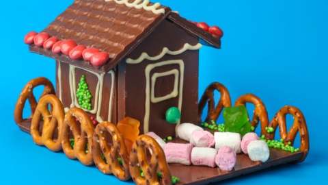 סוכות בחוות השוקולד “גליתא” - טיולים ובילויים לכל המשפחה בשוהם