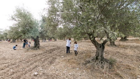 חוגגים סוכות עם קק”ל - טיולים ובילויים לכל המשפחה בשוהם