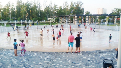 בבית שאן שמח, פסטיבל האסיף - טיולים ובילויים לכל המשפחה בשוהם