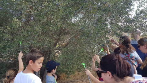 קבלת שבת בטבע בשוהם - חינוך  בשוהם