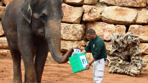 רק ג'ירפה תביא שלום - טיולים ובילויים לכל המשפחה בשוהם
