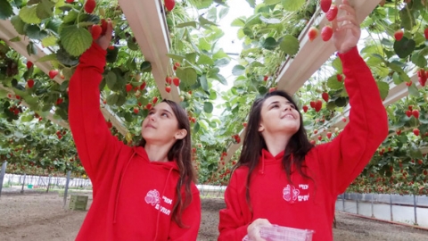 חנוכה עם גיבורי צפון הנגב - טיולים ובילויים לכל המשפחה בשוהם