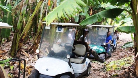 מיזם ‘אוצרות הגליל’ ממליץ על סיורי ‘חקלאות ונקרות’ - טיולים ובילויים לכל המשפחה בשוהם