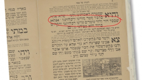 “פייגה" - טורים אישיים בשוהם