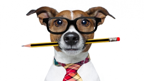 האם זכות הציבור לדעת? - טורים אישיים בשוהם