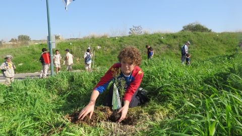 חגיגה בירוק – שוהם חוגגת ט"ו בשבט - טיולים ובילויים לכל המשפחה בשוהם