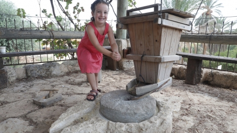 בעקבות העולה לרגל - פארק נאות קדומים - טיולים ובילויים לכל המשפחה בשוהם