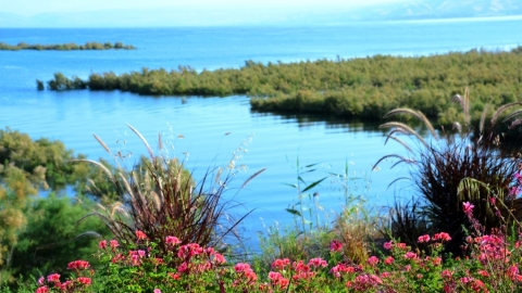 סיורים מודרכים, נופים, פריחות והפלגה חווייתית בכינרת - טיולים ובילויים לכל המשפחה בשוהם