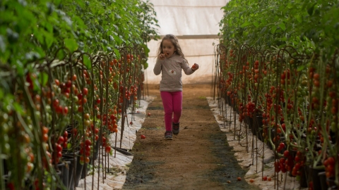 "פסחקלאי" - צפון הנגב - טיולים ובילויים לכל המשפחה בשוהם
