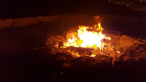 השבוע ל"ג בעומר ומזג האוויר מתחמם עד שרבי - חדשות בשוהם