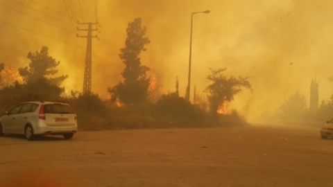 גל שריפות באיזור חבל מודיעין - חדשות בשוהם