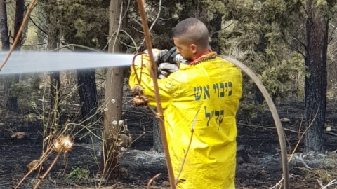 יערני קק"ל:כ-2200 דונם נשרפו כליל ביער בן שמן וכ- 1000 דונם ביערות צרעה והראל - חדשות בשוהם