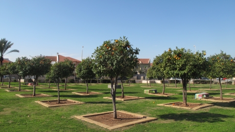 תכנית פיתוח תלת-שנתית חדשה יוצאת לדרך בשוהם, בהיקף חצי מיליארד ₪ - חדשות בשוהם