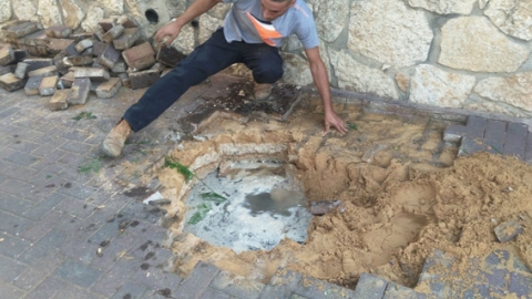 לוקחים אחריות על המבננים - חדשות בשוהם