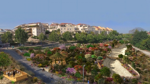 בקרוב: יער מאכל בוואדי כרמל - חדשות בשוהם