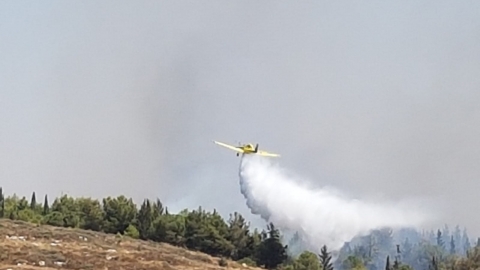 שריפה עצומה משתוללת ביער שוהם - חדשות בשוהם