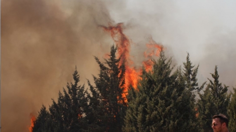  זהו אומדן הנזק שגרמה השריפה ביער שוהם - חדשות בשוהם