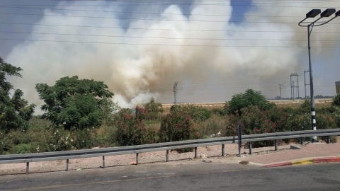 שריפה סמוך לנתבג - חדשות בשוהם