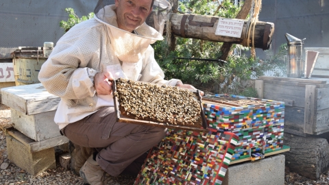 'מועצת הדבש' פותחת את "פסטיבל הדבש" - טיולים ובילויים לכל המשפחה בשוהם