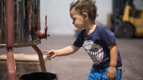 חודש ספטמבר ב"עמותת זמן גליל מערבי" - טיולים ובילויים לכל המשפחה בשוהם
