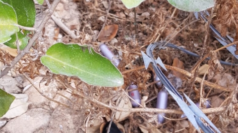 הורים – שימו לב: שימוש בגז צחוק (גז קצפת) בקרב בני נוער - חדשות בשוהם