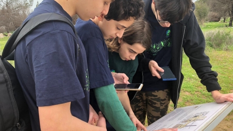 שם קוד: יער קהילתי שוהם - תרבות הפנאי  בשוהם