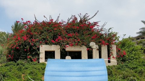  החל מהיום: בקרה על הנכנסים לשוהם - חדשות בשוהם