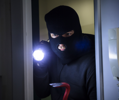 הגנבים חוזרים - חדשות בשוהם