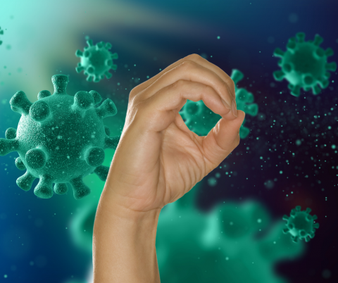 אפס חולים בשוהם - חדשות בשוהם