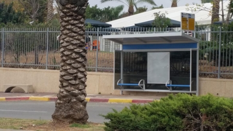 התחבורה הציבורית חוזרת לפעילות - חדשות בשוהם