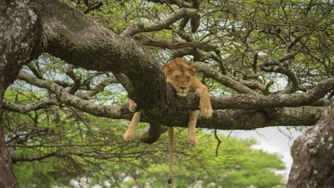 קליק עם הטבע - כתבות מגזין  בשוהם