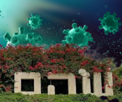 תלמידי יב וצוות המורים נדרשים להכנס לבידוד - חדשות בשוהם