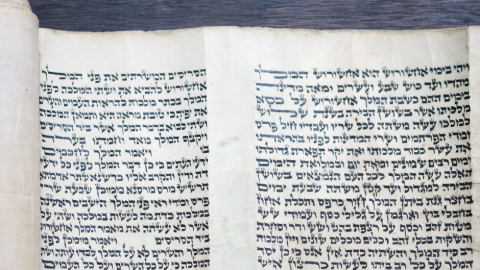  קוראים במגילה - חדשות בשוהם