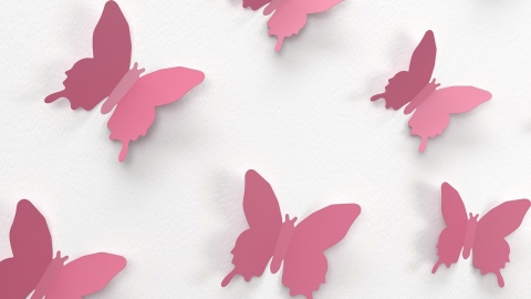 מדבקות קיר לכל מטרה - צרכנות  בשוהם