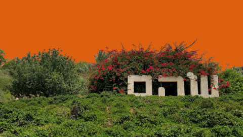 קורונה: שוהם כתומה (מאוד) - חדשות בשוהם