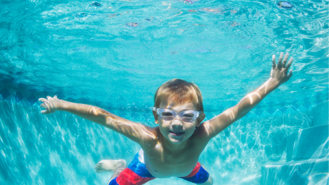 סוכות בבריכת השחיה - חדשות בשוהם